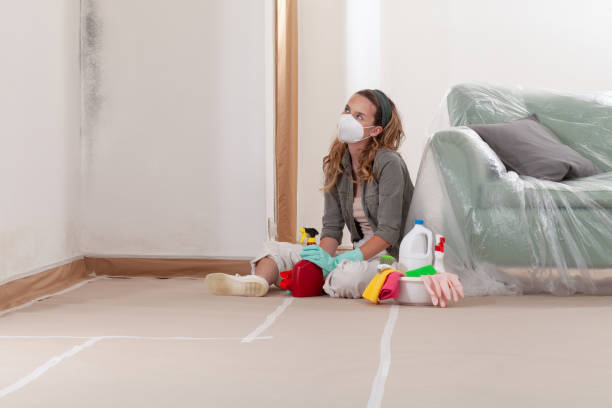 Reliable Mold Testing contractor in Aberdeen, WA by WQB Mold Removal